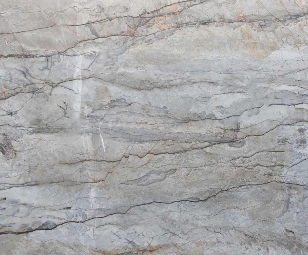 Silver Roots marmer - Sample - 15 x 10 cm